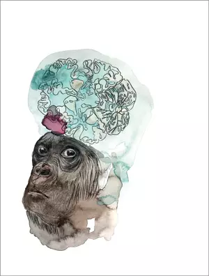 Juliette Fontaine - La Peau ténue du monde