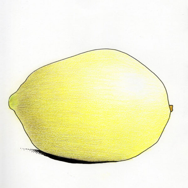 Vassilis Salpistis - Journal 2024