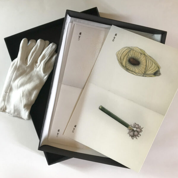 Vassilis Salpistis - Journal 2024 : coffret intégral