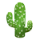cactus-50